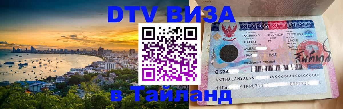 Сколько стоит DTV виза — актуальные цены, оформление даже без документов - 19.11.2025 